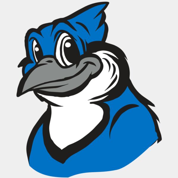 AR31 BLUEJAY 02 RQC Thumbnail